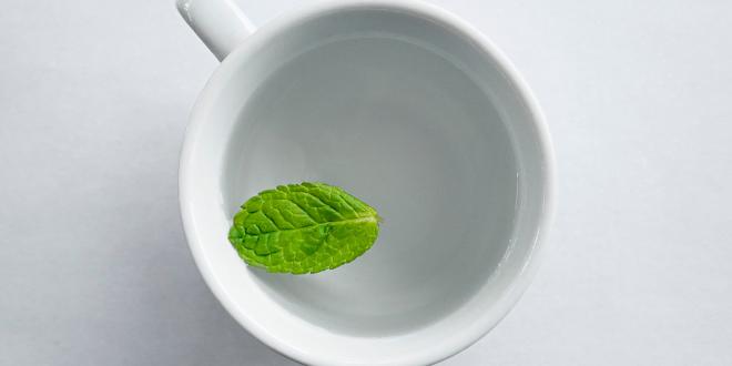 a mint leaf floating in a mug of water