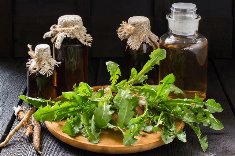 Dandelion leaves and roots with bottles of digestive bitters in the background.