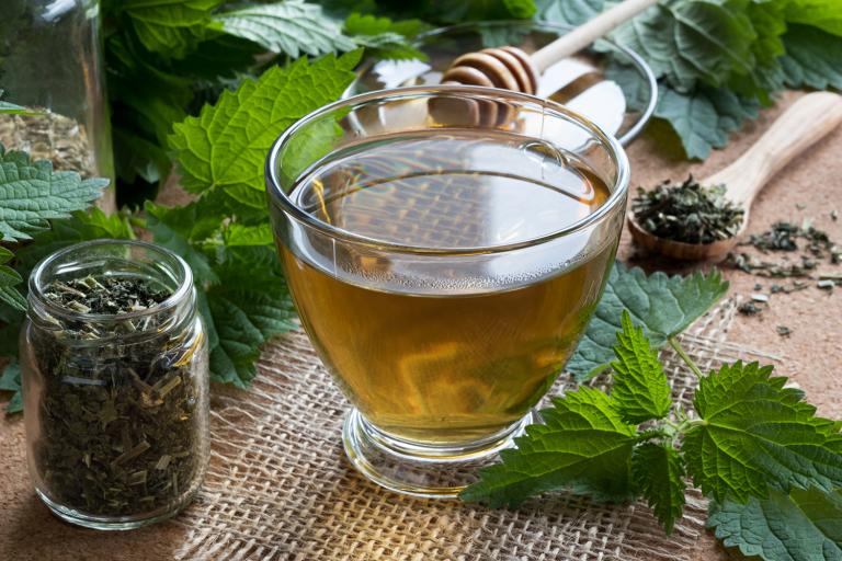 Fresh and dried nettles with a cup of nettle tea.