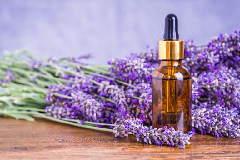 Lavender essential oil for aromatherapy