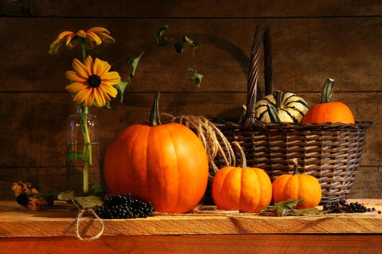 pumpkins ready to be carved
